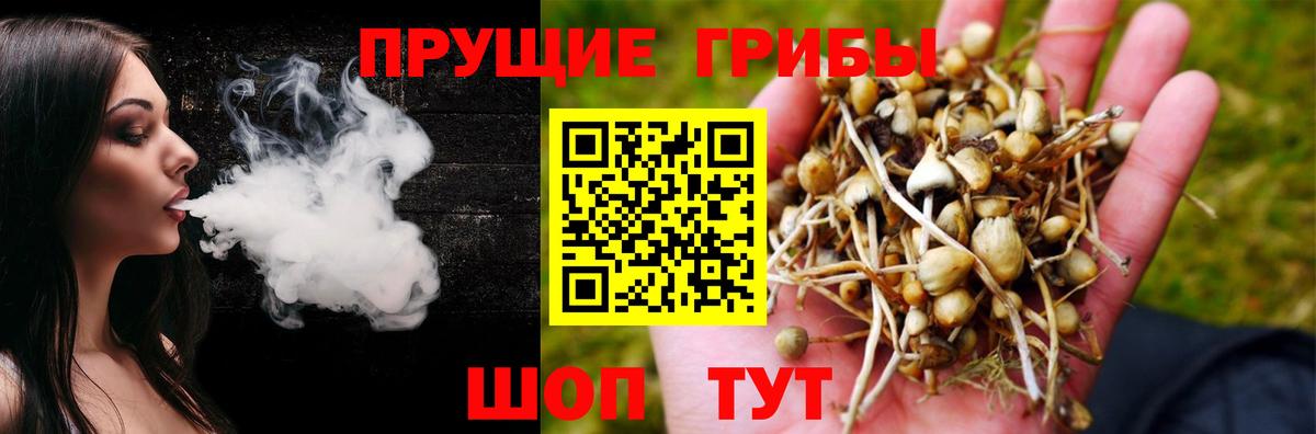 Галлюциногенные грибы мухоморы  Вход с VPN  Кыштым 